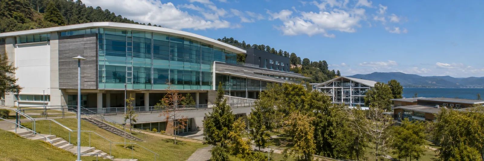 Universidad de Los Lagos