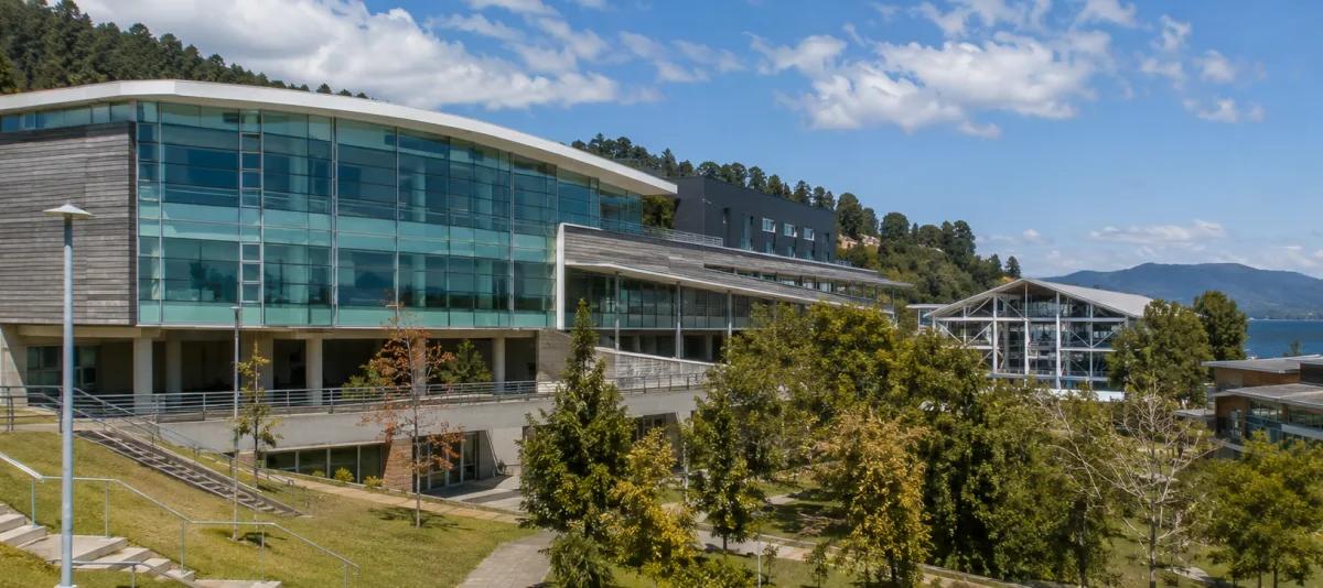 Universidad de Los Lagos