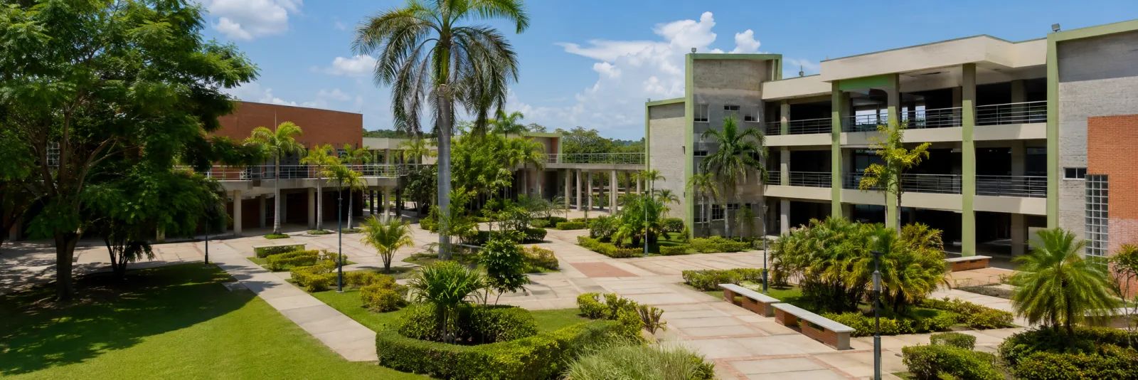 Universidad de Sucre