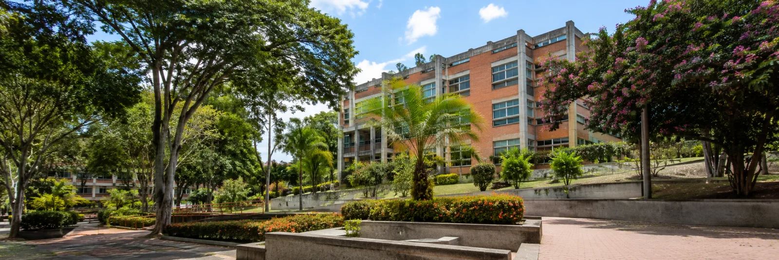 Universidad del Tolima
