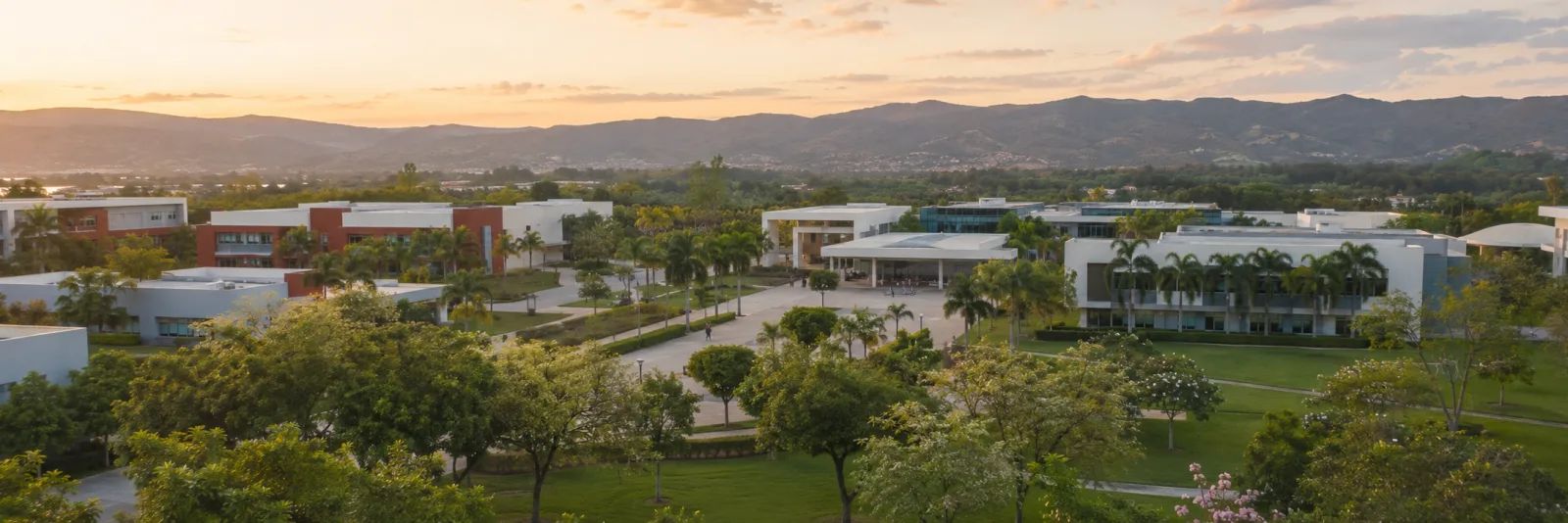 Universidad ECOTEC