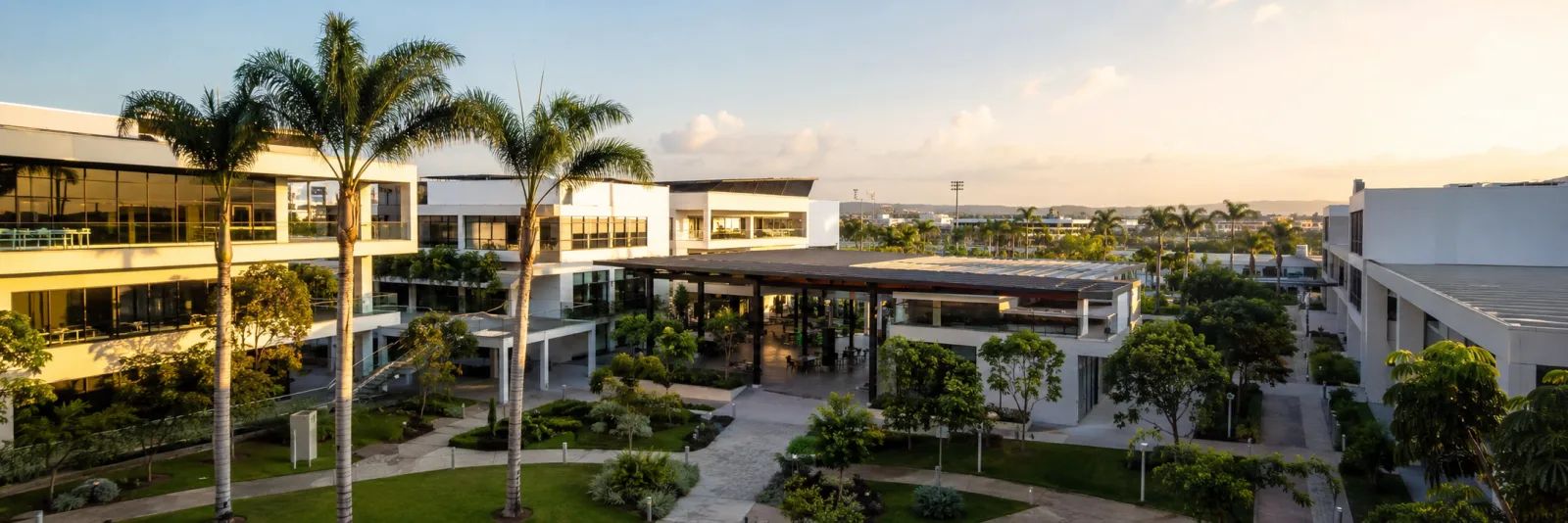 Universidad Espíritu Santo